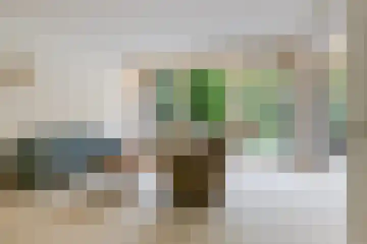 Catsveld 63 Gouda thumbnail 17