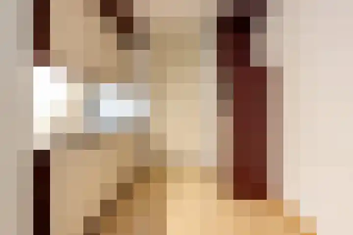 Catsveld 63 Gouda thumbnail 20
