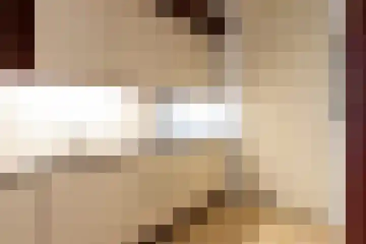 Catsveld 63 Gouda thumbnail 21
