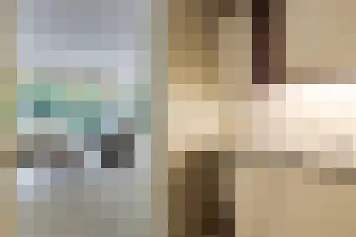Catsveld 63 Gouda thumbnail 22