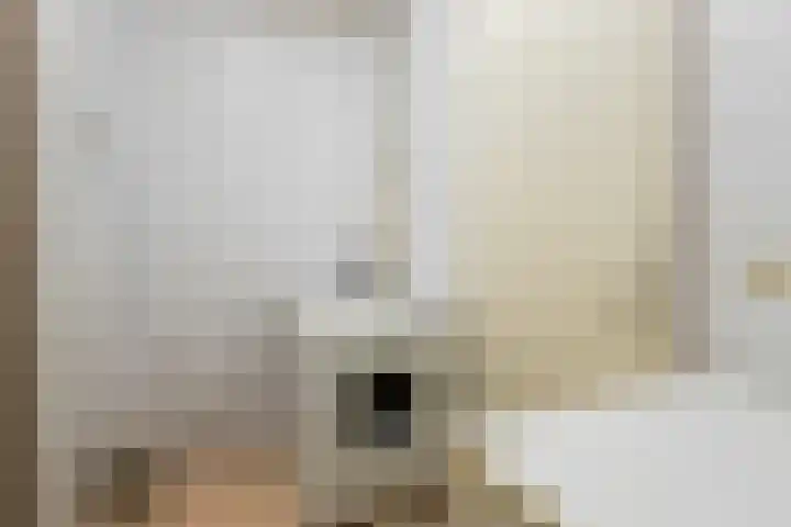 Catsveld 63 Gouda thumbnail 25