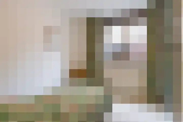 Catsveld 63 Gouda thumbnail 26