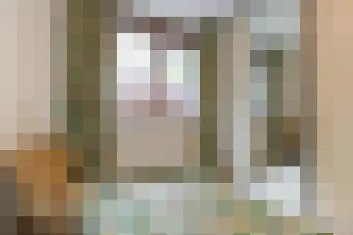 Catsveld 63 Gouda thumbnail 28