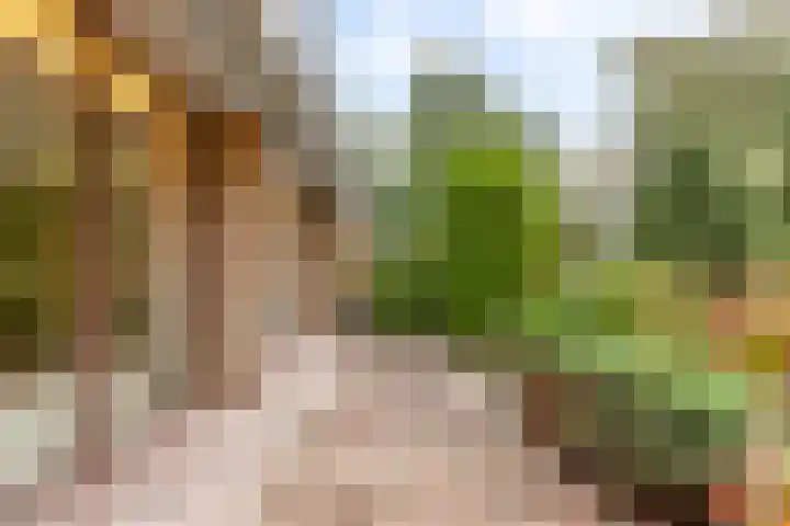 Catsveld 63 Gouda thumbnail 31