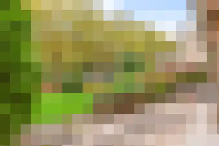 Catsveld 63 Gouda thumbnail 32