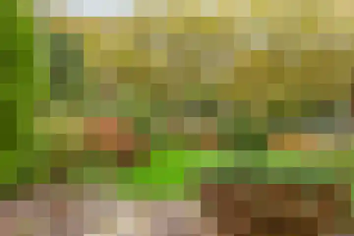 Catsveld 63 Gouda thumbnail 33