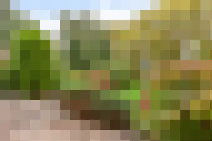 Catsveld 63 Gouda thumbnail 34
