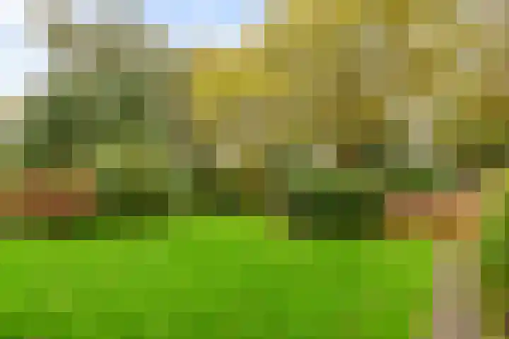 Catsveld 63 Gouda thumbnail 35