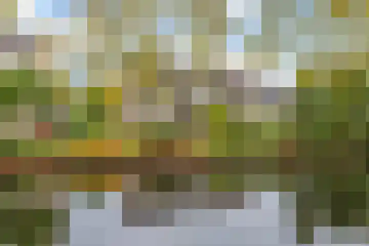 Catsveld 63 Gouda thumbnail 36