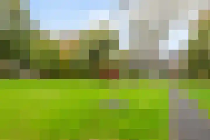Catsveld 63 Gouda thumbnail 37