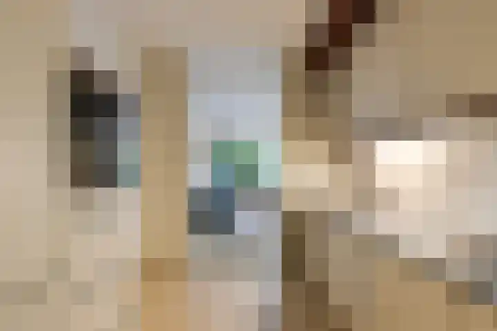 Catsveld 63 Gouda thumbnail 4
