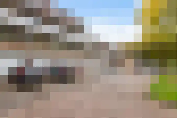 Catsveld 63 Gouda thumbnail 5