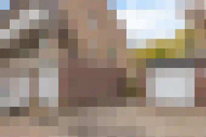 Catsveld 63 Gouda thumbnail 6