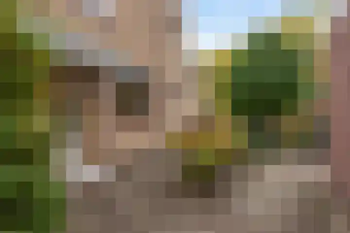 Catsveld 63 Gouda thumbnail 7