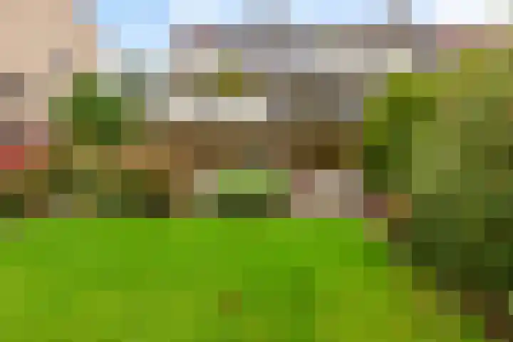 Catsveld 63 Gouda thumbnail 8