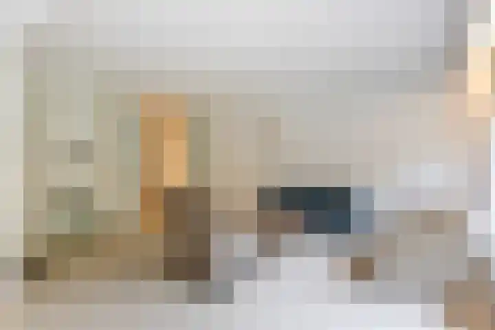 Catsveld 63 Gouda thumbnail 9