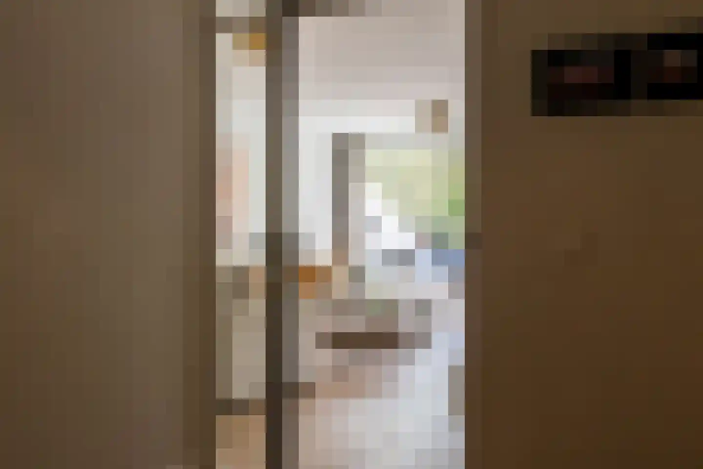 Catsveld 75 Gouda thumbnail 11