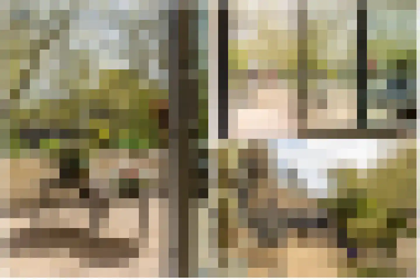 Catsveld 75 Gouda thumbnail 45