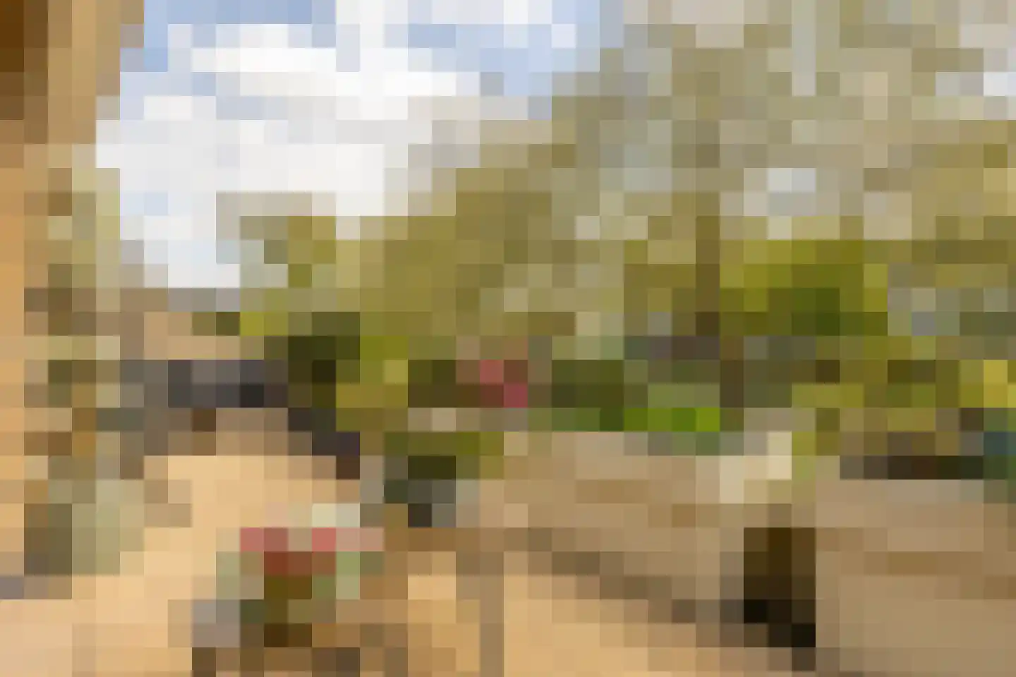 Catsveld 75 Gouda thumbnail 46