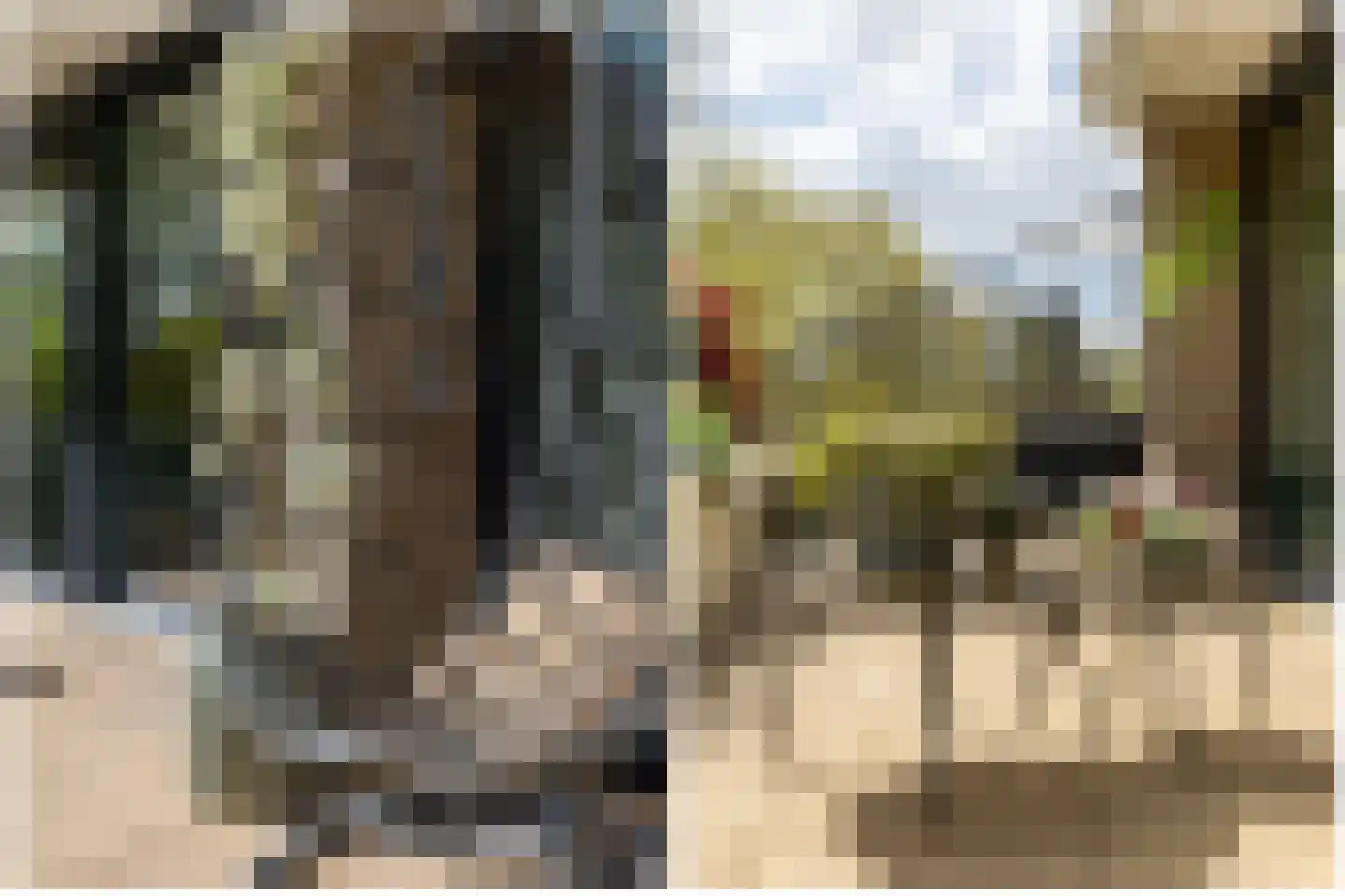 Catsveld 75 Gouda thumbnail 47