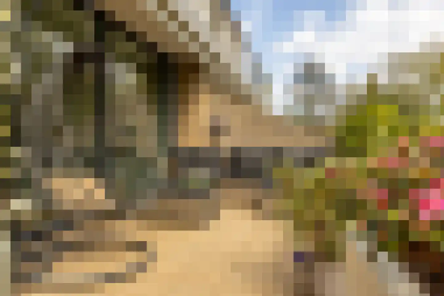 Catsveld 75 Gouda thumbnail 48