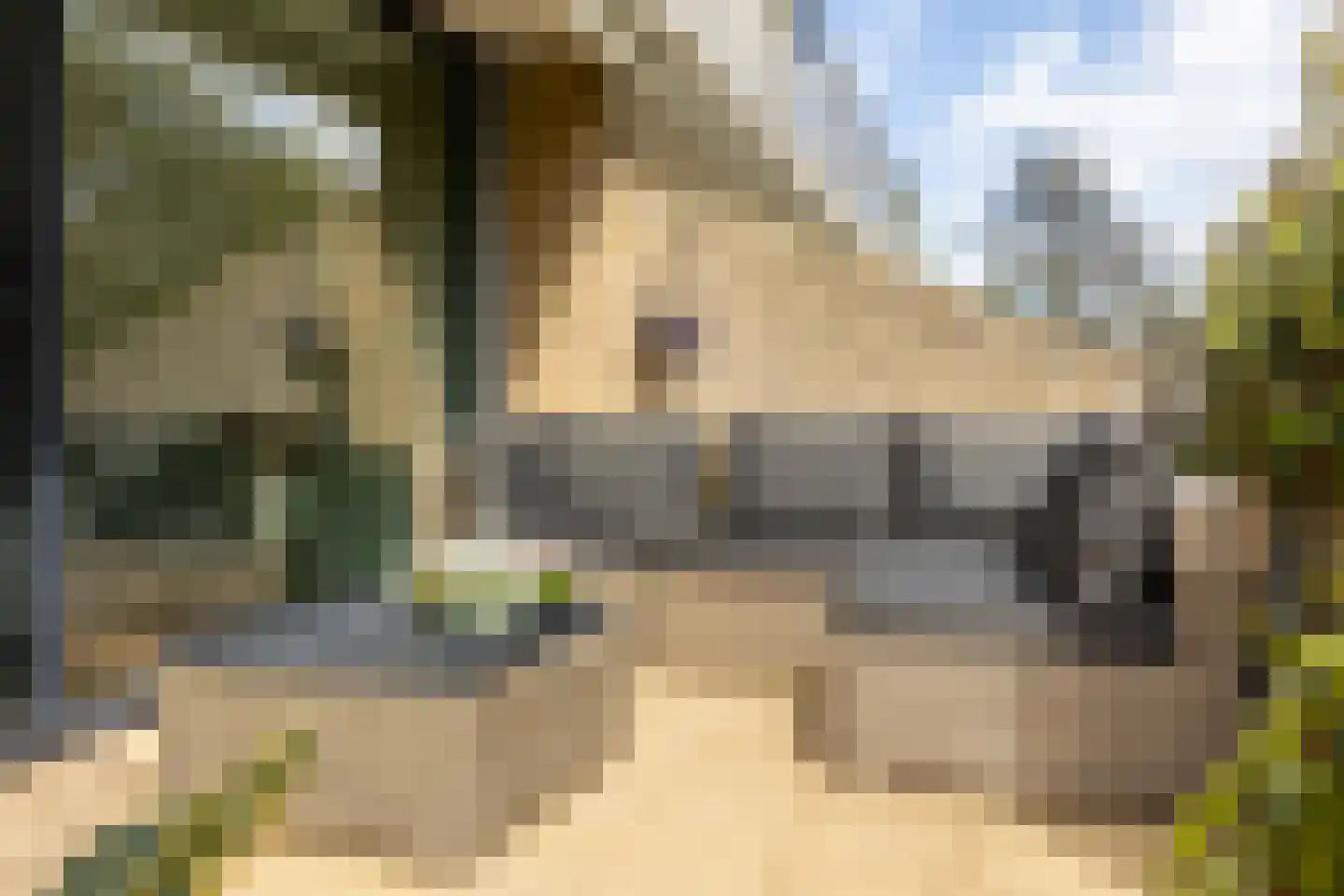 Catsveld 75 Gouda thumbnail 49