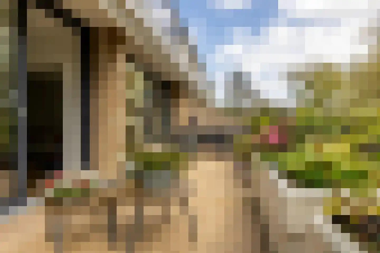 Catsveld 75 Gouda thumbnail 5