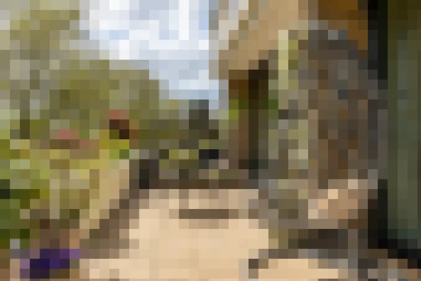 Catsveld 75 Gouda thumbnail 50