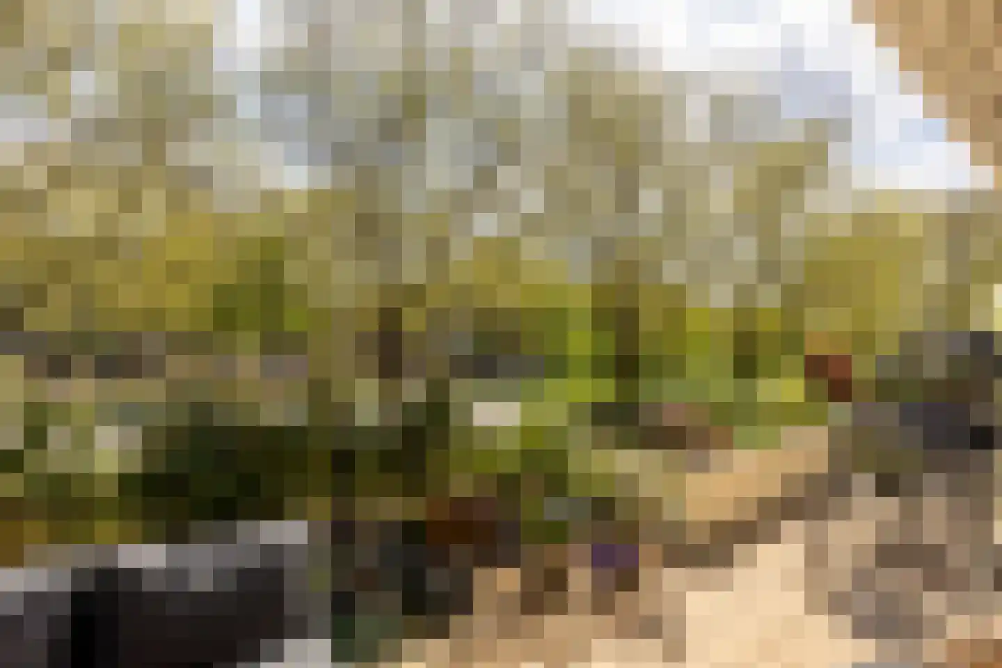 Catsveld 75 Gouda thumbnail 51