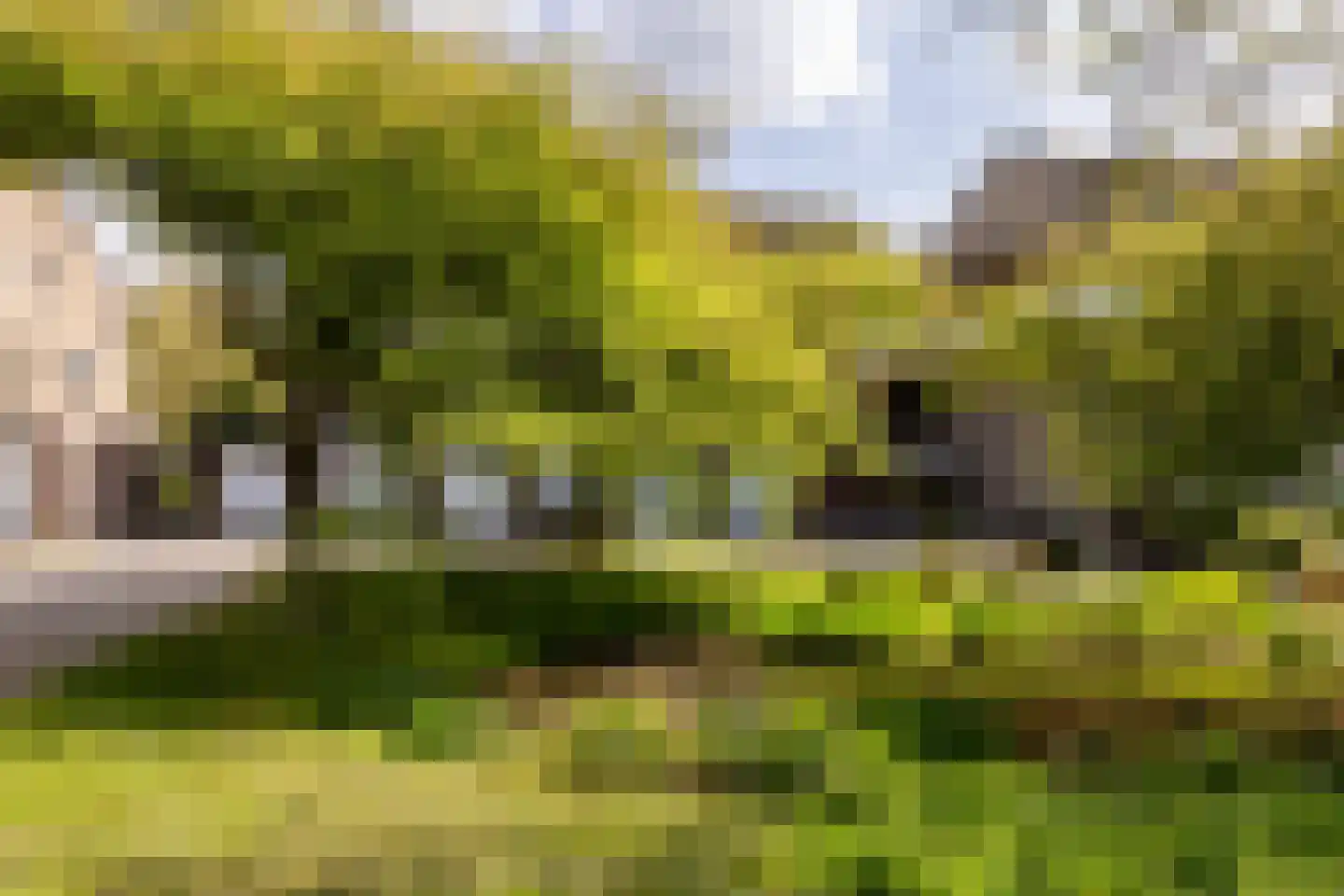 Catsveld 75 Gouda thumbnail 56