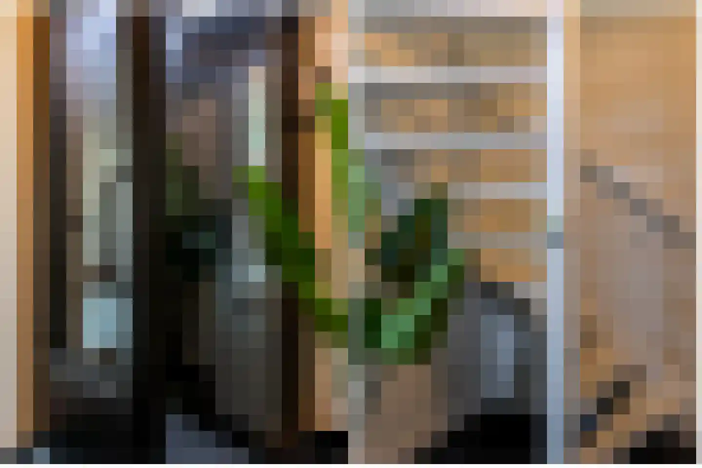 Catsveld 75 Gouda thumbnail 7