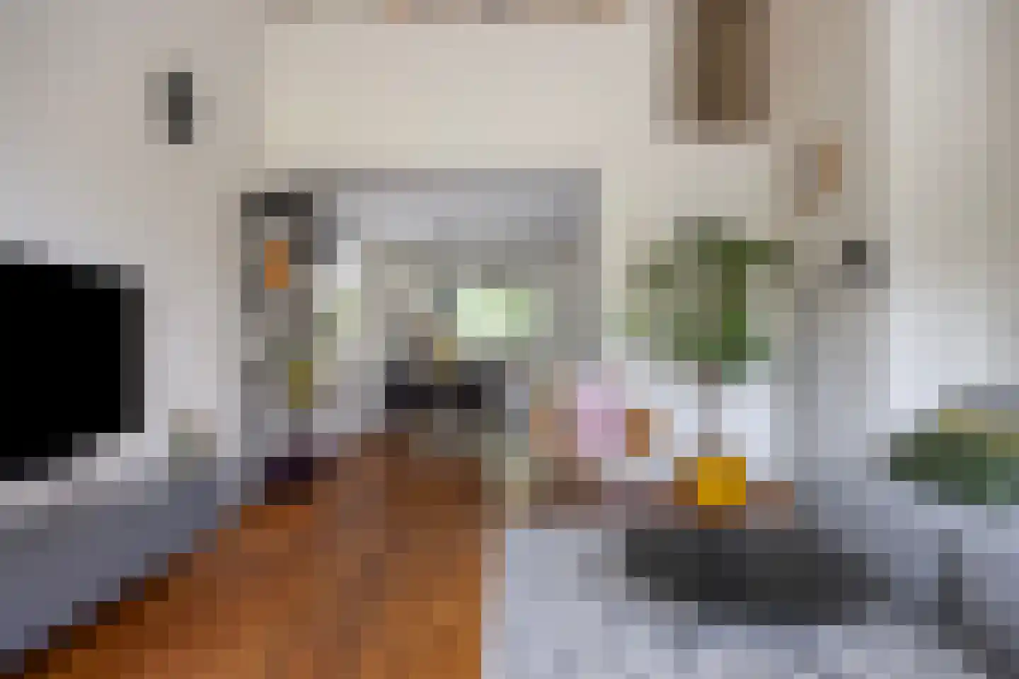Catsveld 80 Gouda thumbnail 12