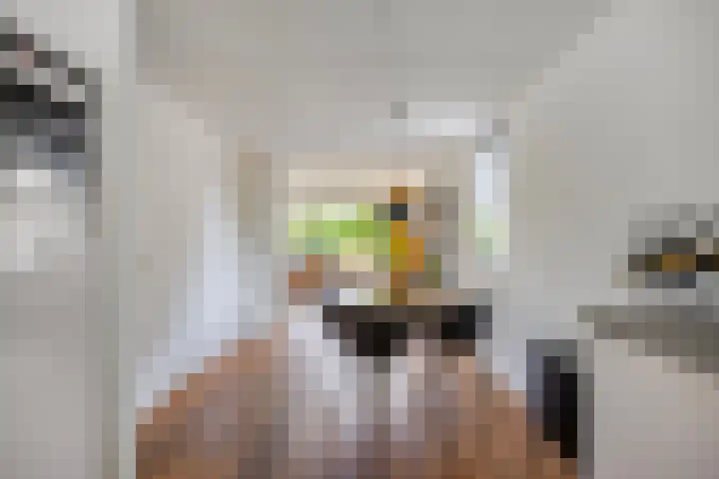 Catsveld 80 Gouda thumbnail 13