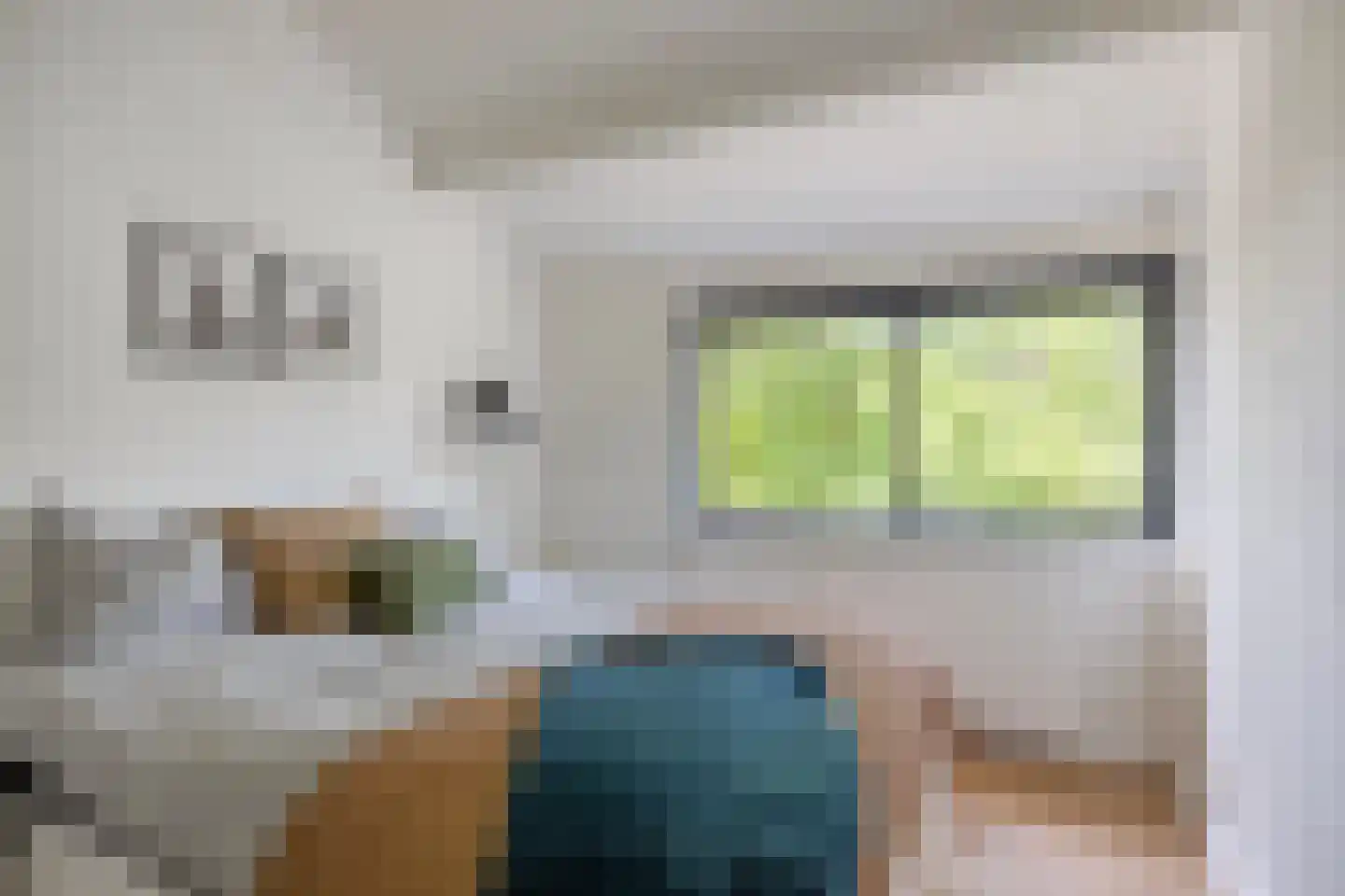 Catsveld 80 Gouda thumbnail 18