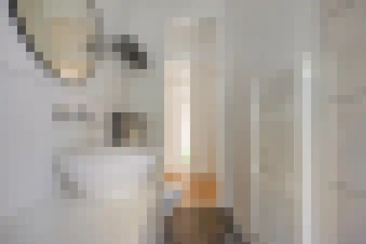 Catsveld 80 Gouda thumbnail 20
