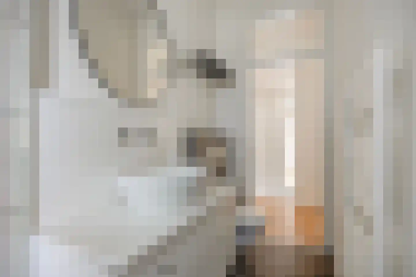 Catsveld 80 Gouda thumbnail 21