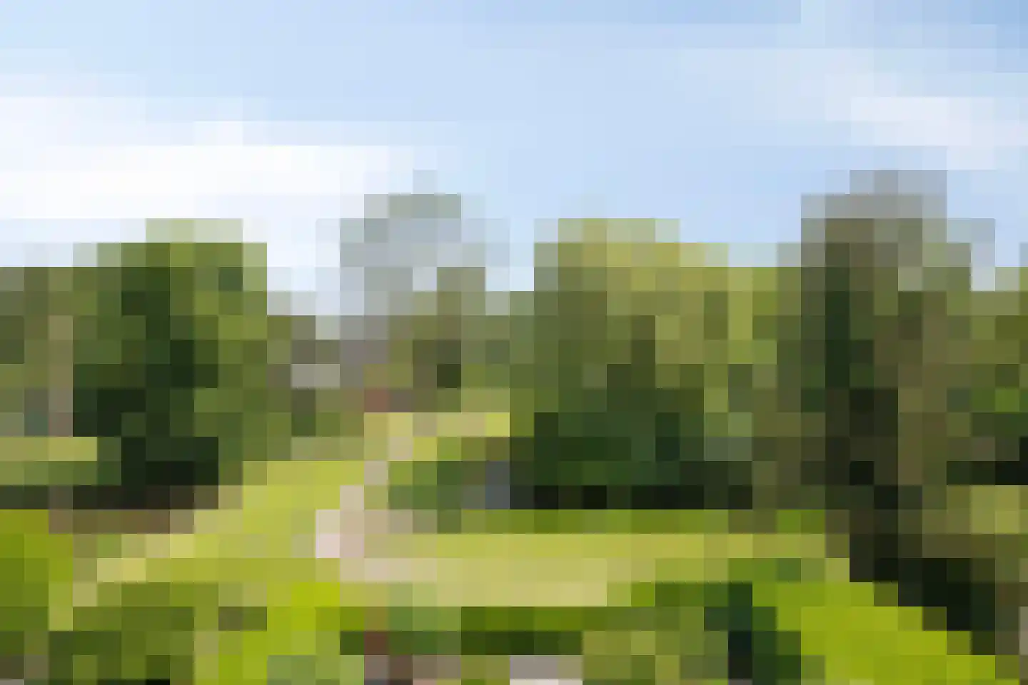 Catsveld 80 Gouda thumbnail 22