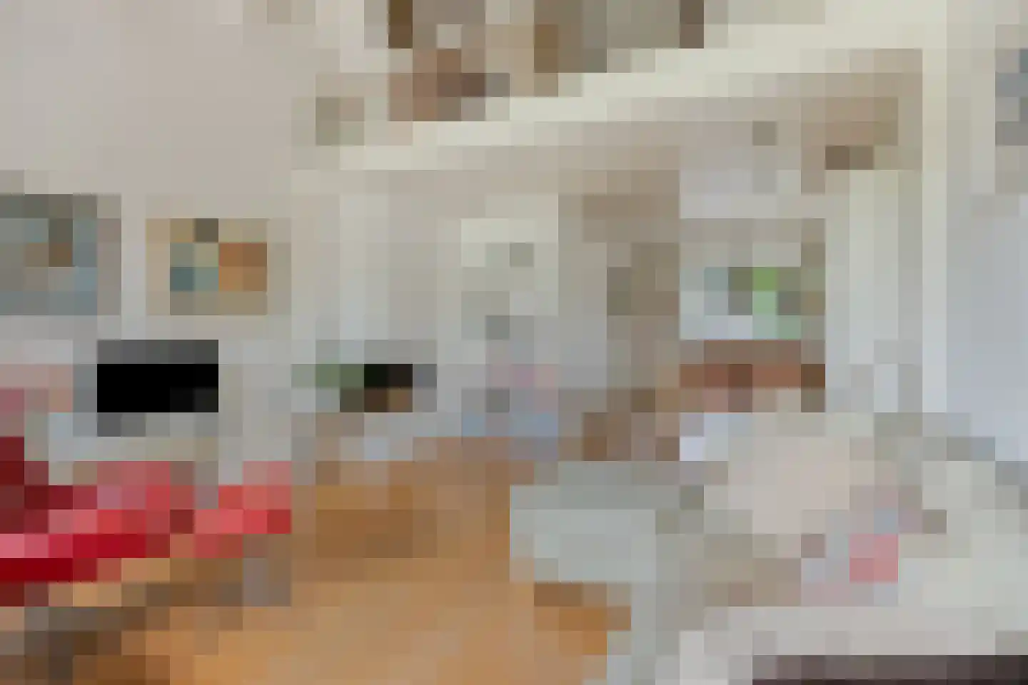 Catsveld 86 Gouda thumbnail 10