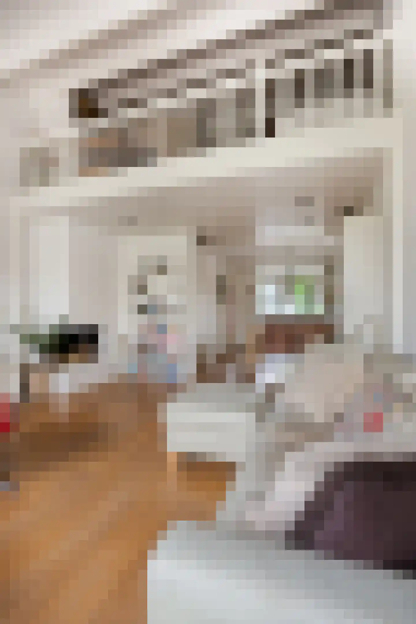 Catsveld 86 Gouda thumbnail 11