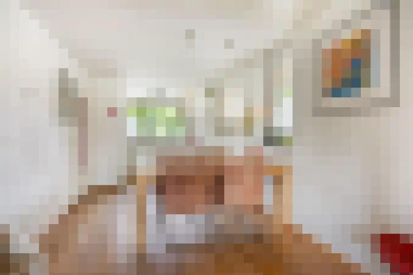 Catsveld 86 Gouda thumbnail 14