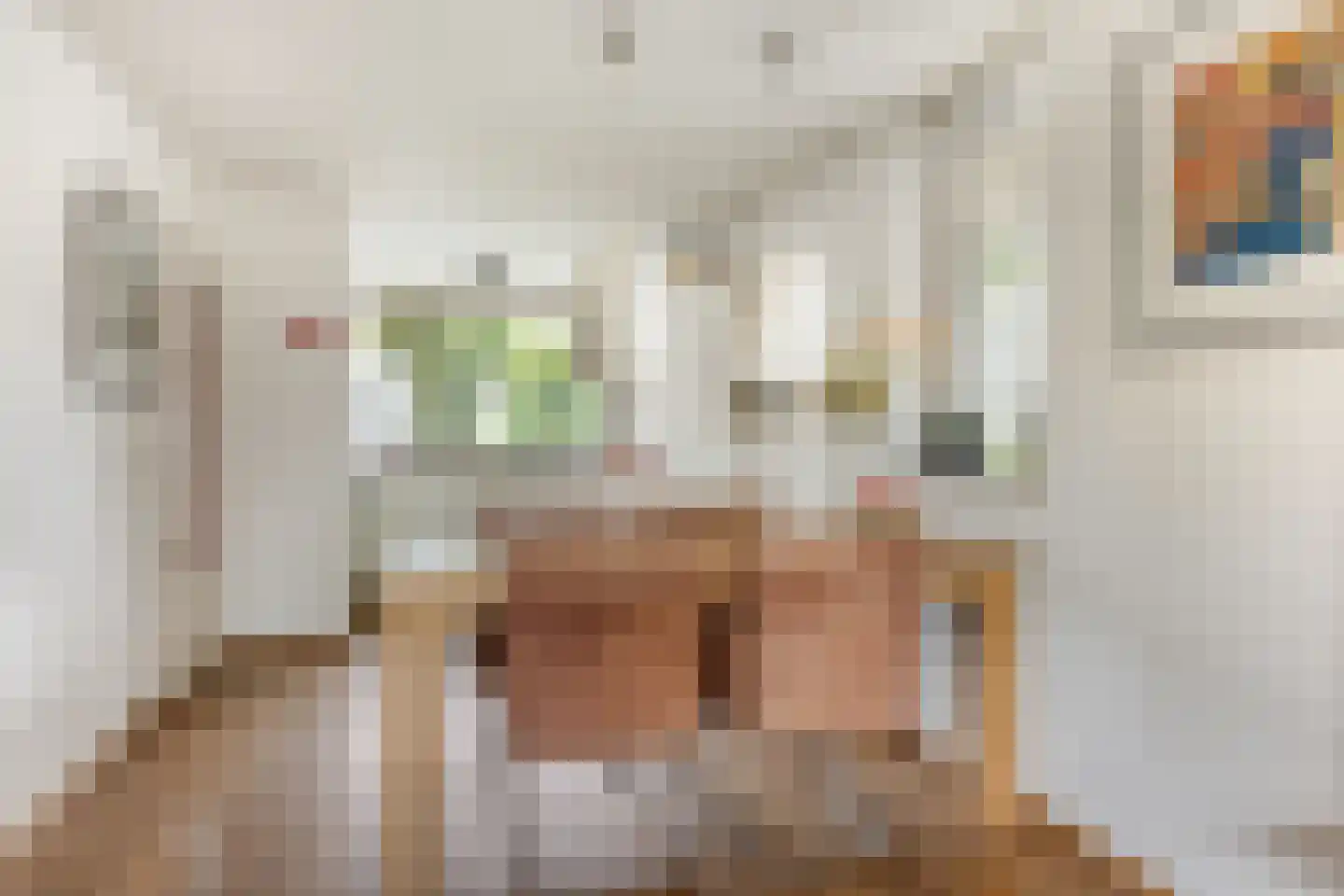 Catsveld 86 Gouda thumbnail 15