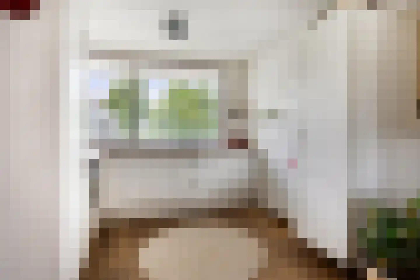Catsveld 86 Gouda thumbnail 18