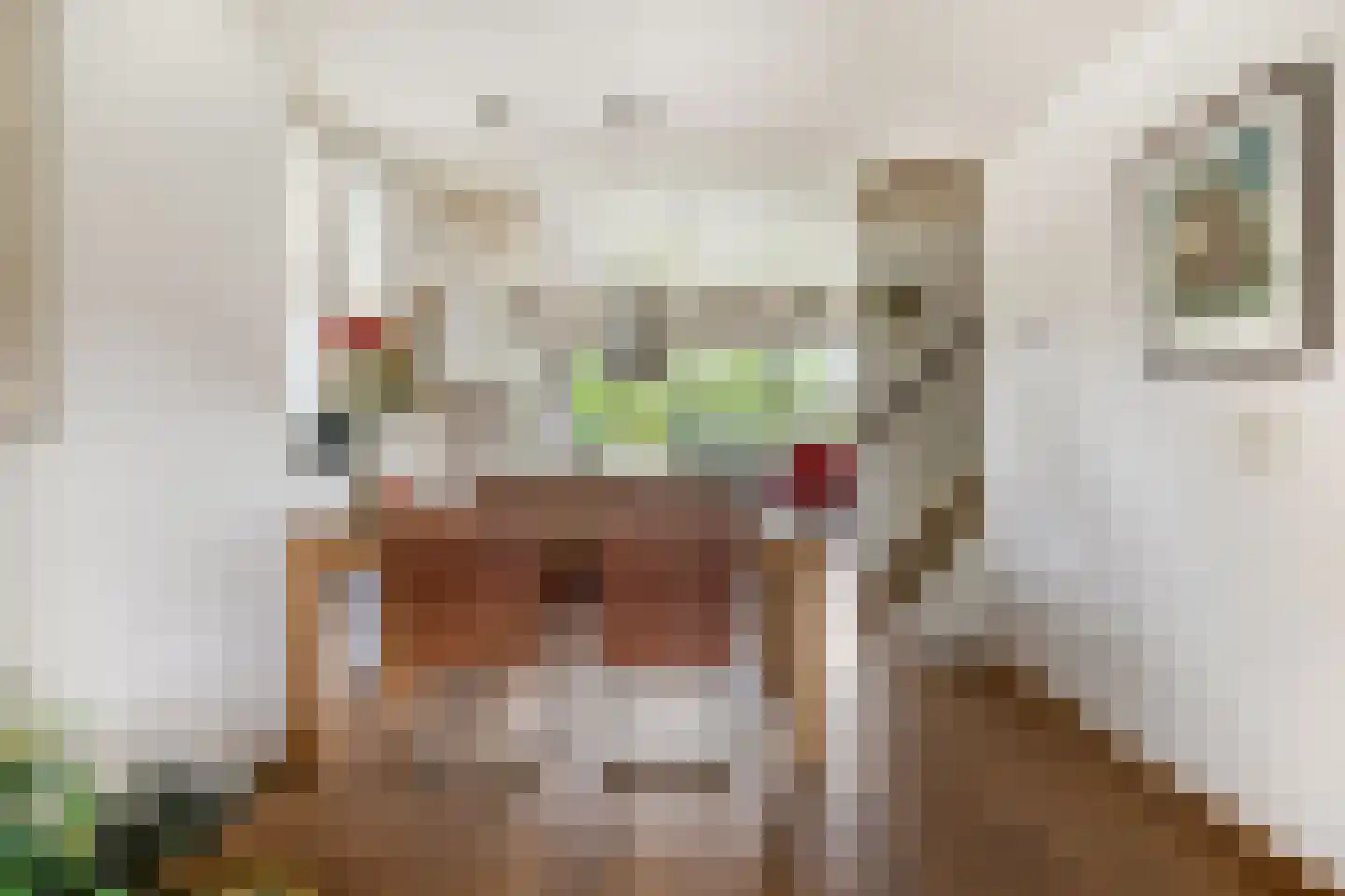 Catsveld 86 Gouda thumbnail 19