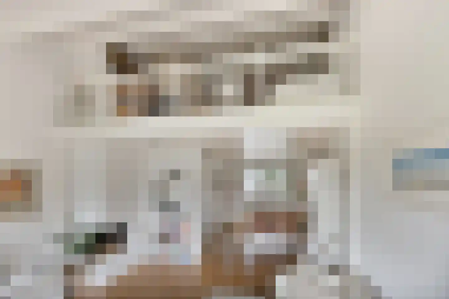 Catsveld 86 Gouda thumbnail 20
