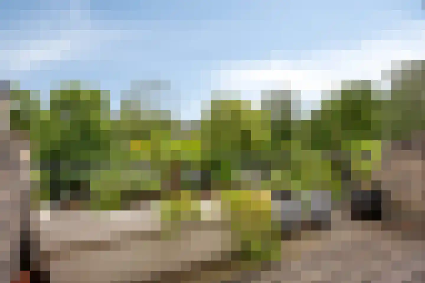 Catsveld 86 Gouda thumbnail 21