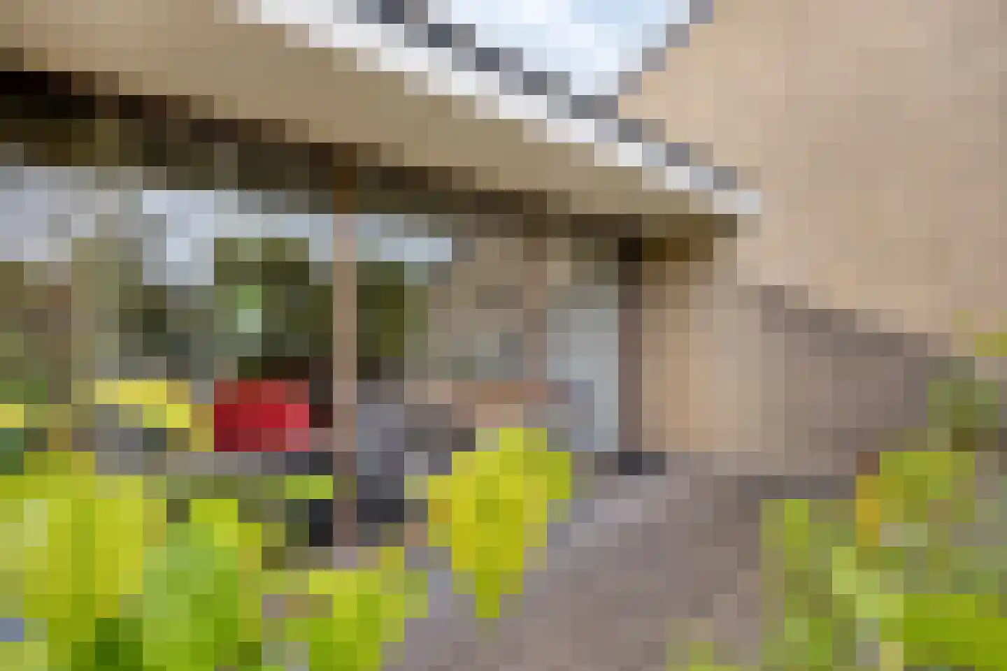Catsveld 86 Gouda thumbnail 22