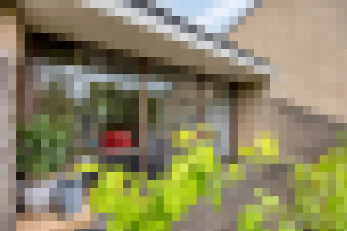 Catsveld 86 Gouda thumbnail 23