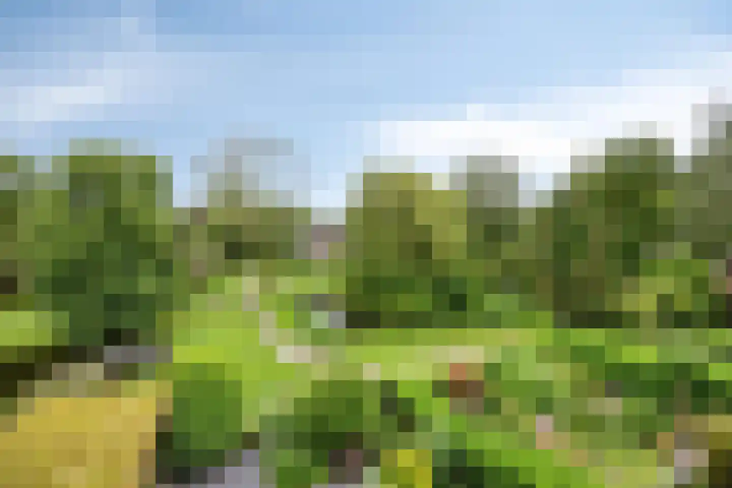 Catsveld 86 Gouda thumbnail 25