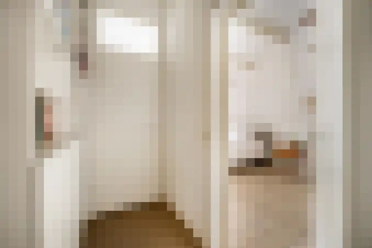 Catsveld 86 Gouda thumbnail 27