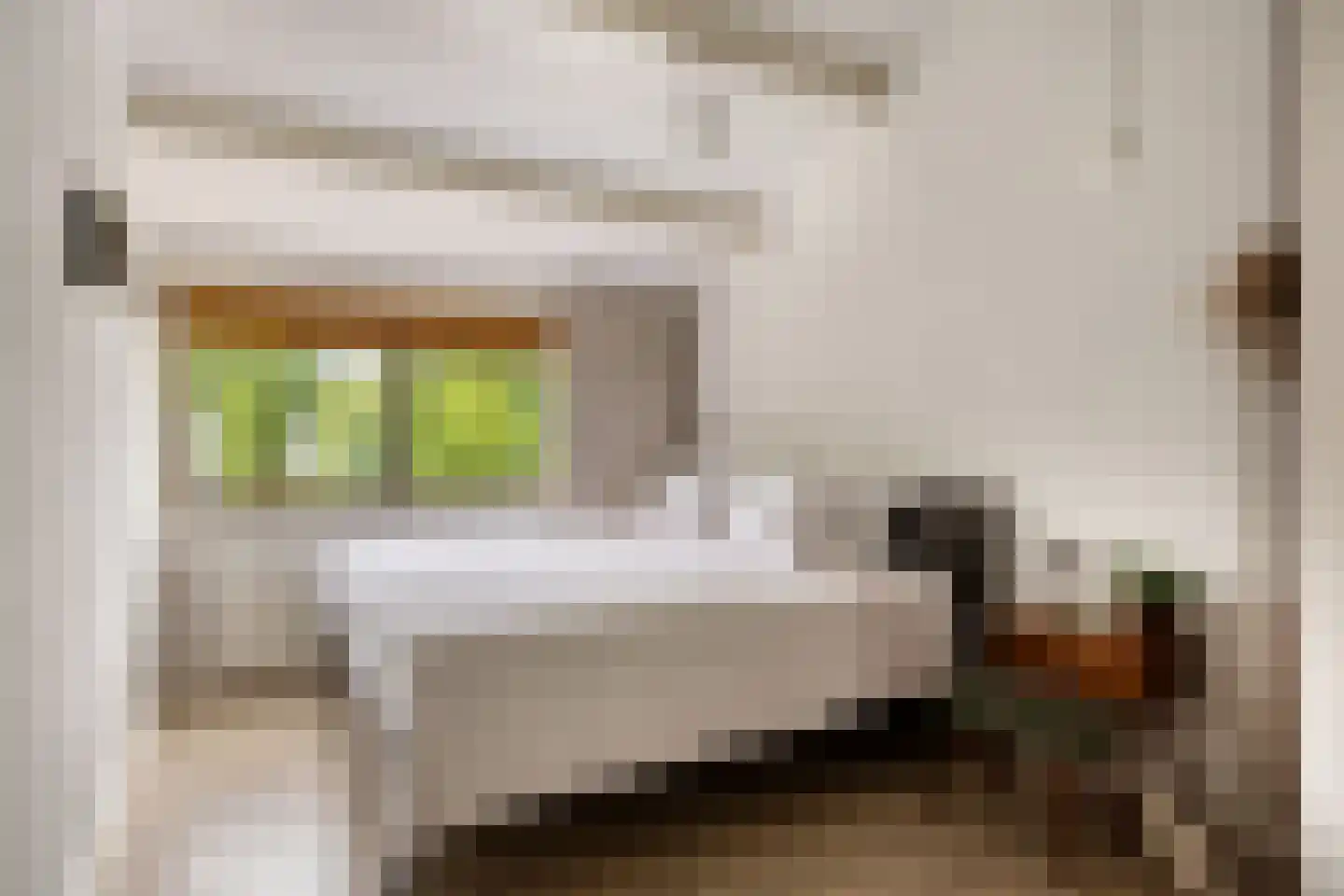 Catsveld 86 Gouda thumbnail 28